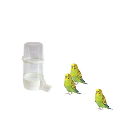 MCBOSON Abreuvoir Oiseaux Plastique Résistant Anti-Endommagement Bec