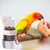 MCBOSON Mangeoire/Abreuvoir oiseaux transparent sans encombrement