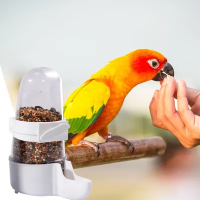 MCBOSON Mangeoire/Abreuvoir oiseaux transparent sans encombrement