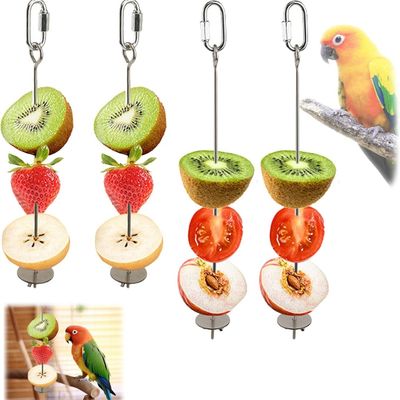 MCBOSON Lot de 4 Brochettes Porte-Nourritures Inox pour Oiseaux