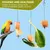 MCBOSON Lot de 4 Brochettes Porte-Nourritures Inox pour Oiseaux