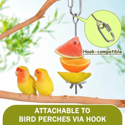 MCBOSON Lot de 4 Brochettes Porte-Nourritures Inox pour Oiseaux