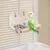 MCBOSON Ensemble de Gamelles pour Perroquets Acier Inoxydable + Bois