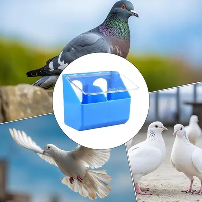 MCBOSON Mangeoire à Oiseaux Extérieure Étanche Grande Capacité