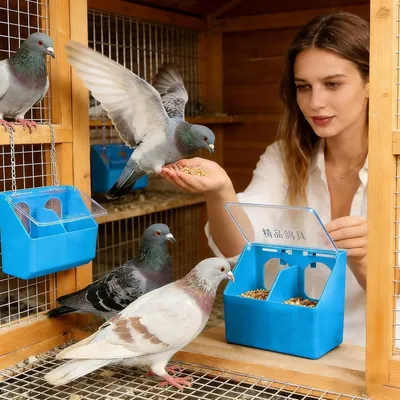 MCBOSON Mangeoire à Oiseaux Extérieure Étanche Grande Capacité