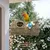 MCBOSON Cabane Suspendue Oiseaux, Herbes Marines Naturelles