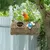 MCBOSON Cabane Suspendue Oiseaux, Herbes Marines Naturelles