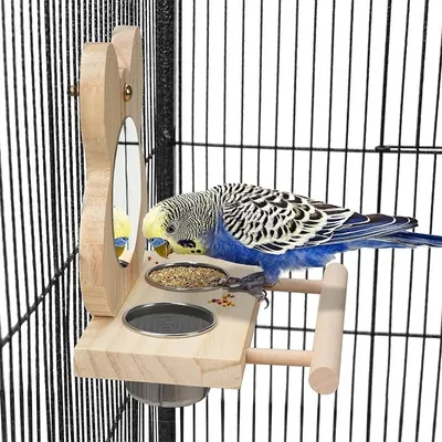 MCBOSON Ensemble Alimentation pour Oiseaux : Bol Inox, Cadre Bois & Miroir