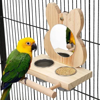 MCBOSON Ensemble Alimentation pour Oiseaux : Bol Inox, Cadre Bois & Miroir