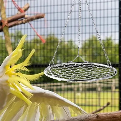 MCBOSON Balançoire pour Oiseaux,