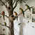 MCBOSON Balançoire pour Oiseaux,
