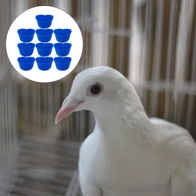 MCBOSON Lot de 10 Gobelets à Eau/Mangeoire pour Oiseaux
