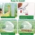 ZooVenture Mangeoire Oiseaux Fenêtre - Ventouses, Transparent