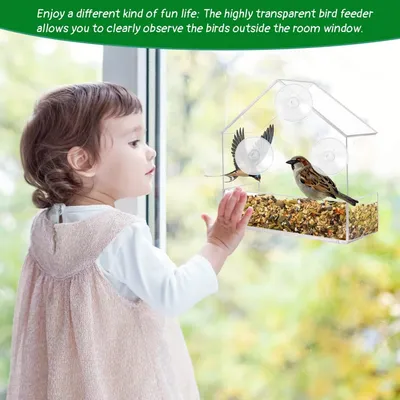 ZooVenture Mangeoire Oiseaux Fenêtre - Ventouses, Transparent