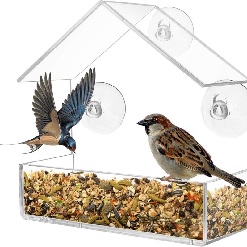 ZooVenture Vogelhaus Fenster Futterhaus - Saugnapf, Transparent