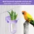 MCBOSON Bols Amovibles Mangeoire/Abreuvoir avec Pince pour Cage d'Oiseaux