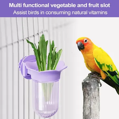 MCBOSON Bols Amovibles Mangeoire/Abreuvoir avec Pince pour Cage d'Oiseaux