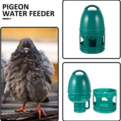 MCBOSON Distributeur d'Eau Portable 5L pour Oiseaux