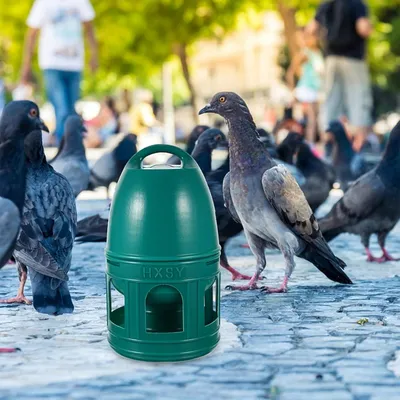 MCBOSON Distributeur d'Eau Portable 5L pour Oiseaux