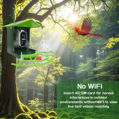 MCBOSON Mangeoire à Oiseaux Solaire 4G Caméra HD Reconnaissance IA 128Go