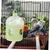 MCBOSON Distributeur d'Eau Automatique pour Oiseaux