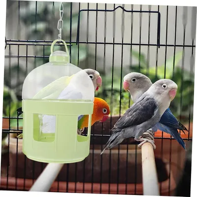 MCBOSON Distributeur d'Eau Automatique pour Oiseaux