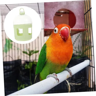 MCBOSON Distributeur d'Eau Automatique pour Oiseaux