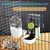 MCBOSON Distributeur Automatique Suspendu