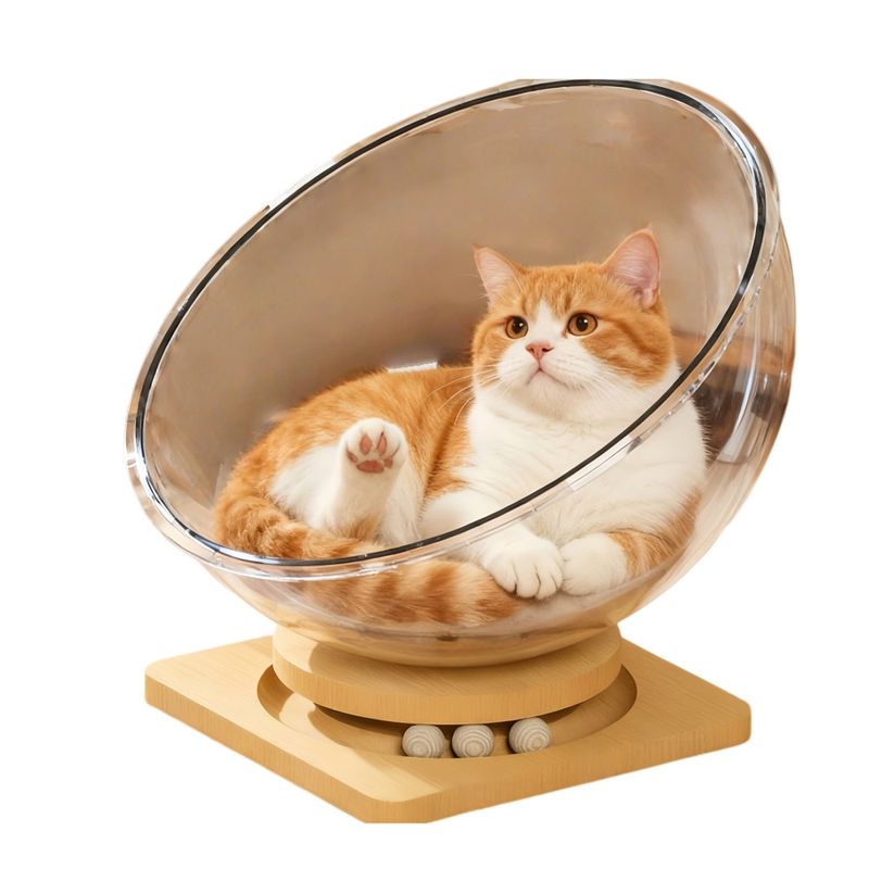 FurryFusion Katzen-Weltraumnest