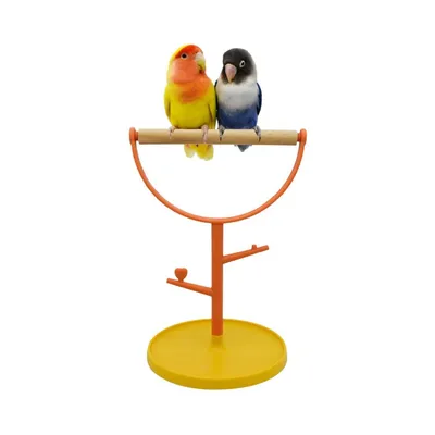 MCBOSON Support Perchoir Oiseau Bois Portable Résistant