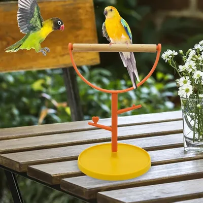 MCBOSON Support Perchoir Oiseau Bois Portable Résistant
