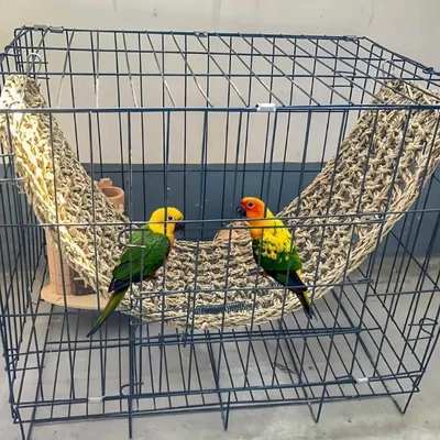 FurryFusion Hamac à oiseaux tissé