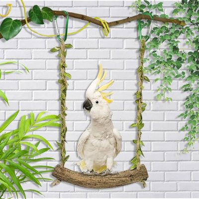 ZooVenture Columpio para loros - Madera, 18 cm, 20 cm