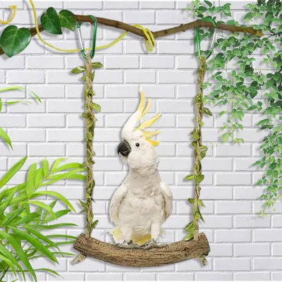 ZooVenture Balançoire Perchoir Perroquet - Bois, 18cm, 20cm