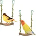 ZooVenture Balançoire Perchoir Perroquet - Bois, 18cm, 20cm