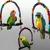 PetTribes - Jouet Balançoire en Bois pour Oiseau avec Clochette