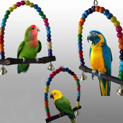 PetTribes - Jouet Balançoire en Bois pour Oiseau avec Clochette
