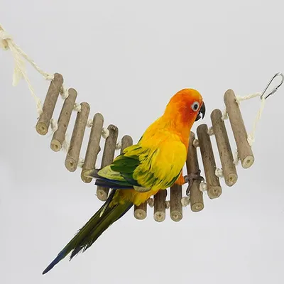 MCBOSON Échelle Oiseaux avec Balançoire