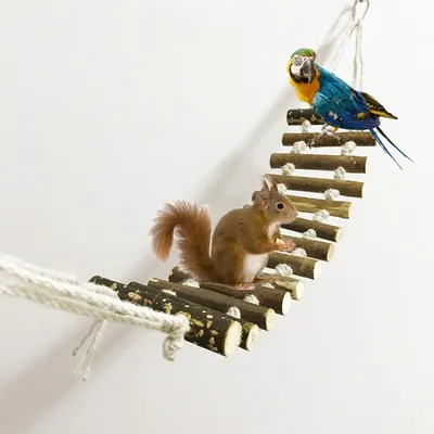 MCBOSON Échelle Oiseaux avec Balançoire