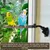 MCBOSON Lot de 2 Perchoirs Perroquet Ventouses