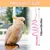 HausPets Échelle en bois 1.5cm pour oiseaux & petits animaux
