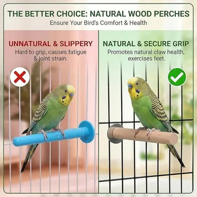 MCBOSON Lot de 8 Perchoirs Oiseaux Bois Naturel
