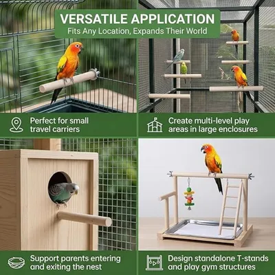 MCBOSON Lot de 8 Perchoirs Oiseaux Bois Naturel