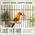 MCBOSON Lot de 8 Perchoirs Oiseaux Bois Naturel