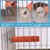 PetTribes - 4 Perchoirs Bois pour Cage Oiseaux Perruches Canaris