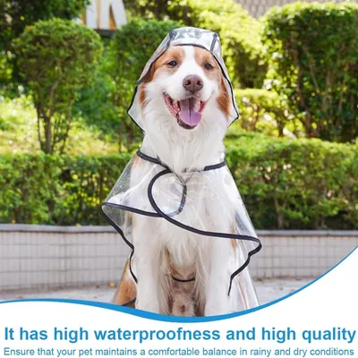 ZooVenture Wasserdichter Hunde-Regenmantel M – Wasserdicht, 36–42 cm ZooVenture Wasserdichter Hunde-Regenmantel M – Wasserdicht, 36–42 cm