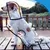 ZooVenture Wasserdichter Hunde-Regenmantel M – Wasserdicht, 36–42 cm ZooVenture Wasserdichter Hunde-Regenmantel M – Wasserdicht, 36–42 cm