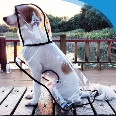 ZooVenture Wasserdichter Hunde-Regenmantel M – Wasserdicht, 36–42 cm ZooVenture Wasserdichter Hunde-Regenmantel M – Wasserdicht, 36–42 cm