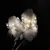 FurryFusion Décoration lumineuse en forme de papillon pour chien FurryFusion Décoration lumineuse en forme de papillon pour chien