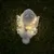 FurryFusion Décoration lumineuse en forme de papillon pour chien FurryFusion Décoration lumineuse en forme de papillon pour chien